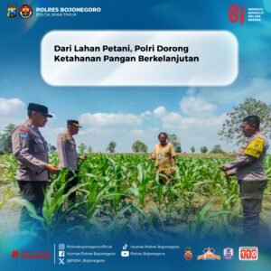 Polsek Bojonegoro Kota Dampingi Petani Jagung di Desa Semanding, Dukung Swasembada Pangan Nasional